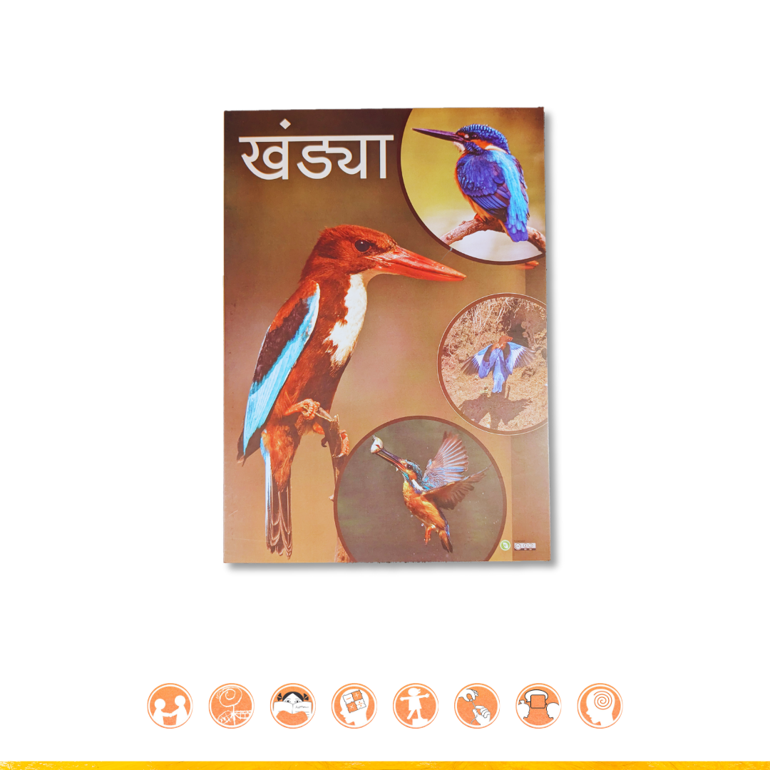 Chitracard Today's Birds A4 | चित्रकार्ड आजचा पक्षी A4