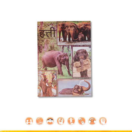 Chitracard Today's Animal A4 | चित्रकार्ड आजचा प्राणी A4